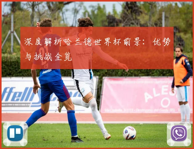深度解析哈兰德世界杯前景：优势与挑战全览