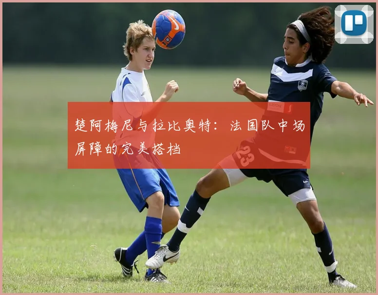 楚阿梅尼与拉比奥特:法国队中场屏障的完美搭档